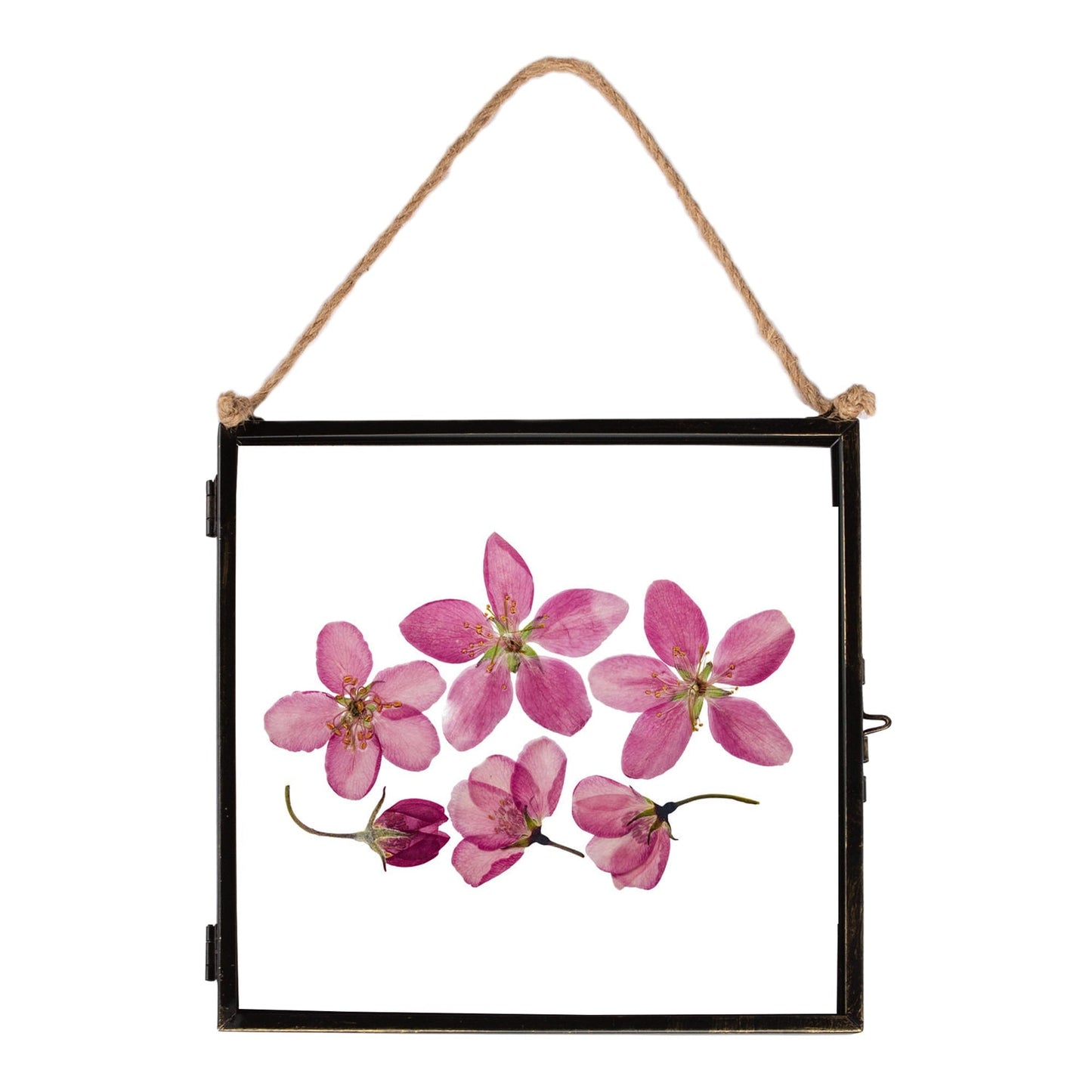 8 x 8 Black Hanging Metal Photo Frame