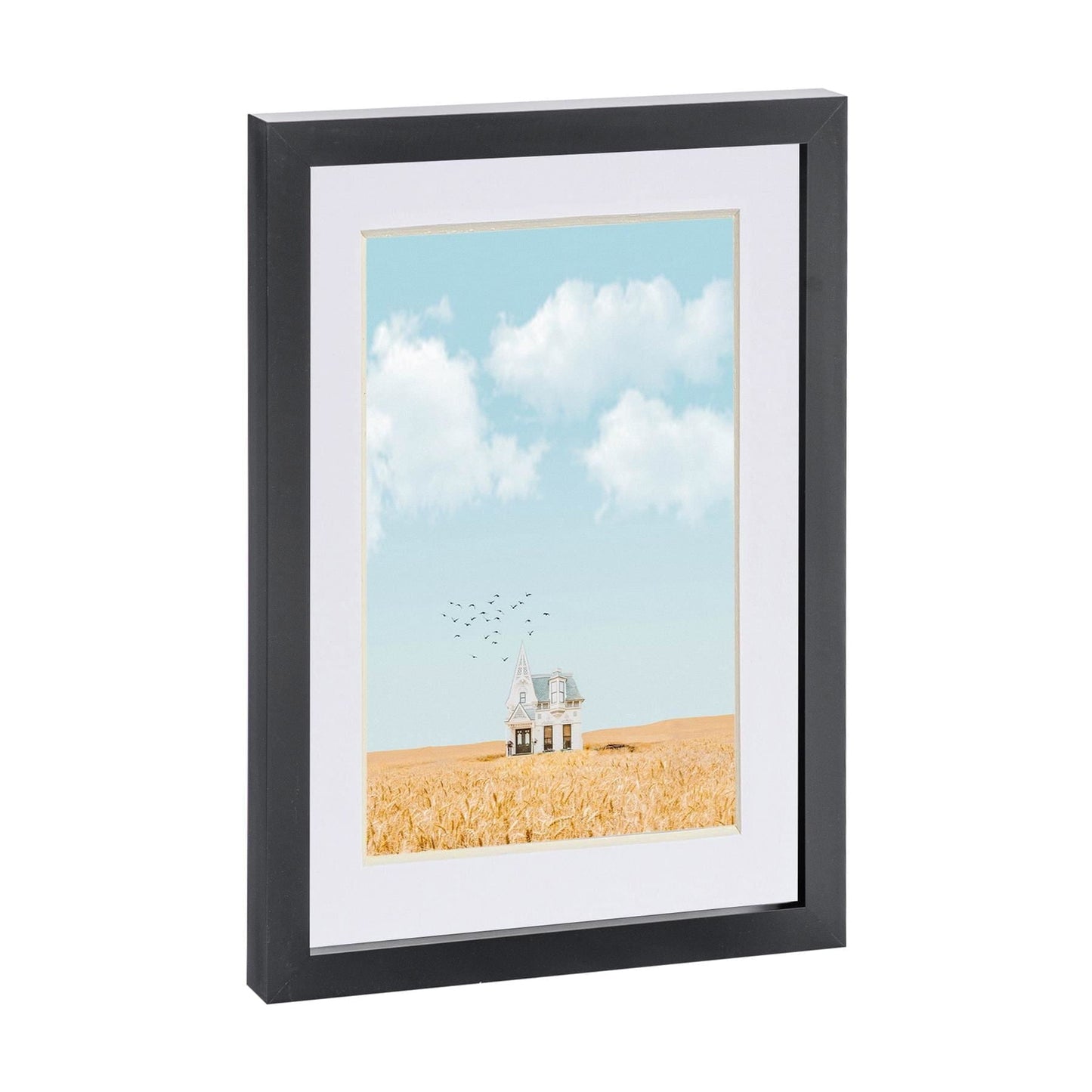 Black A4 (8 x 12) Photo Frame with A5 Mount