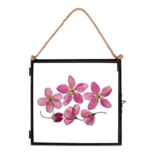 8 x 8 Black Hanging Metal Photo Frame